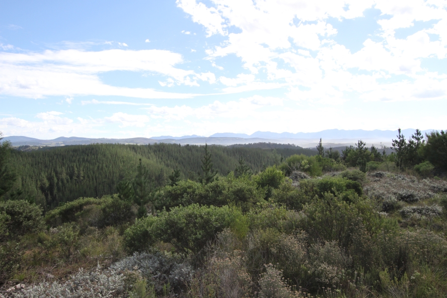 0 Bedroom Property for Sale in Plettenberg Bay Rural Western Cape